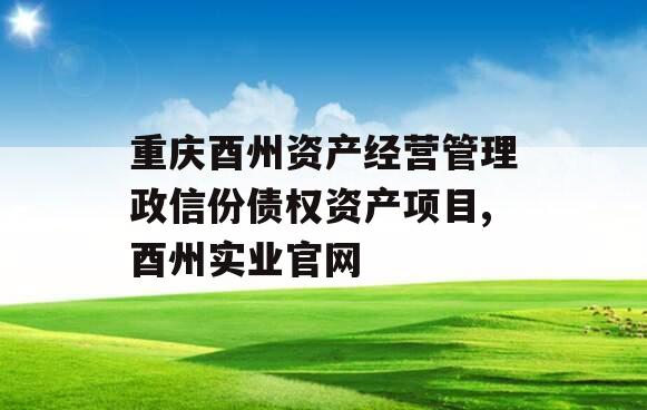 重庆酉州资产经营管理政信份债权资产项目,酉州实业官网