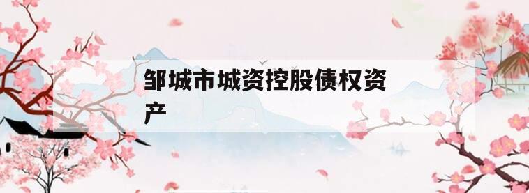 邹城市城资控股债权资产 邹城市城资控股债权资产