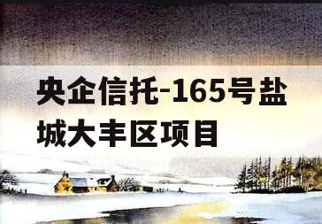 央企信托-165号盐城大丰区项目