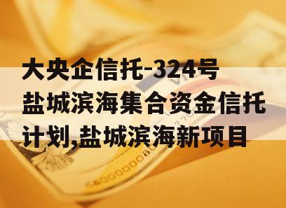 大央企信托-324号盐城滨海集合资金信托计划,盐城滨海新项目