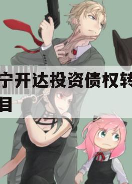 遂宁开达投资债权转让项目