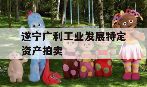 遂宁广利工业发展特定资产拍卖 遂宁广利工业发展特定资产拍卖