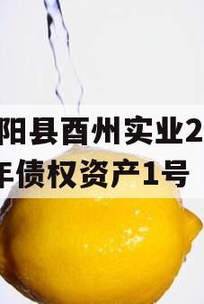 酉阳县酉州实业2024年债权资产1号