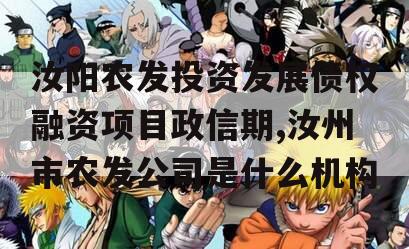 汝阳农发投资发展债权融资项目政信期,汝州市农发公司是什么机构