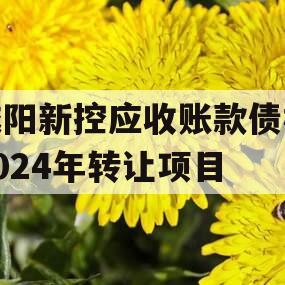 咸阳新控应收账款债权2024年转让项目