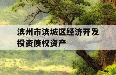 滨州市滨城区经济开发投资债权资产