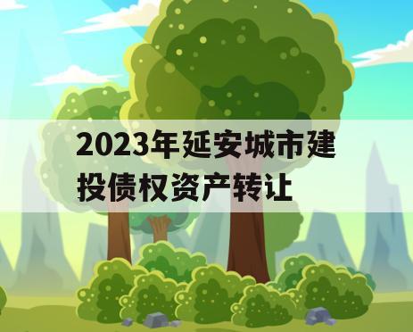 2023年延安城市建投债权资产转让