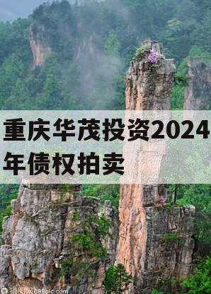 重庆华茂投资2024年债权拍卖