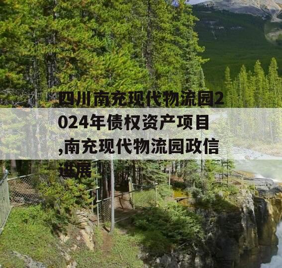 四川南充现代物流园2024年债权资产项目,南充现代物流园政信进展
