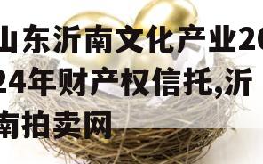 山东沂南文化产业2024年财产权信托,沂南拍卖网
