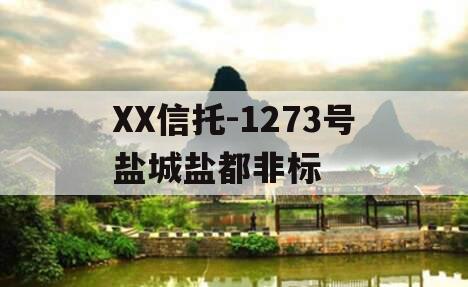 XX信托-1273号盐城盐都非标