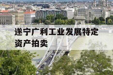 遂宁广利工业发展特定资产拍卖
