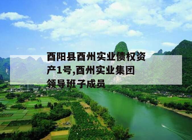 酉阳县酉州实业债权资产1号,酉州实业集团领导班子成员