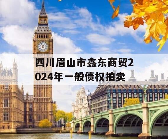 四川眉山市鑫东商贸2024年一般债权拍卖