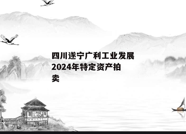 四川遂宁广利工业发展2024年特定资产拍卖