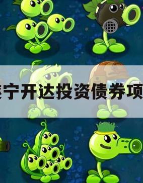 遂宁开达投资债券项目