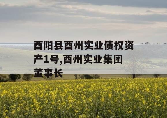酉阳县酉州实业债权资产1号,酉州实业集团董事长