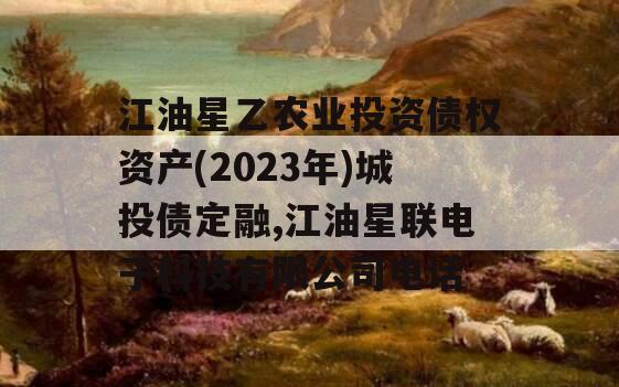 江油星乙农业投资债权资产(2023年)城投债定融,江油星联电子科技有限公司电话
