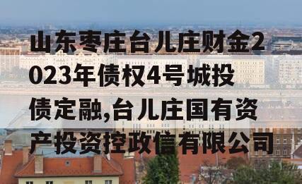 山东枣庄台儿庄财金2023年债权4号城投债定融,台儿庄国有资产投资控政信有限公司
