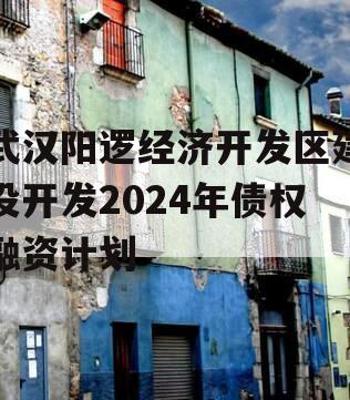 武汉阳逻经济开发区建设开发2024年债权融资计划