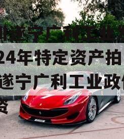 四川遂宁广利工业发展2024年特定资产拍卖,遂宁广利工业政信融资