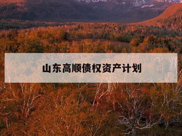 山东高顺债权资产计划