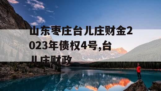 山东枣庄台儿庄财金2023年债权4号,台儿庄财政