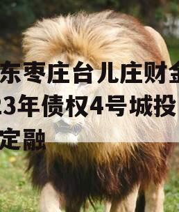 山东枣庄台儿庄财金2023年债权4号城投债定融