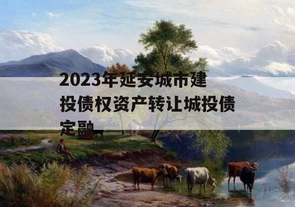 2023年延安城市建投债权资产转让城投债定融