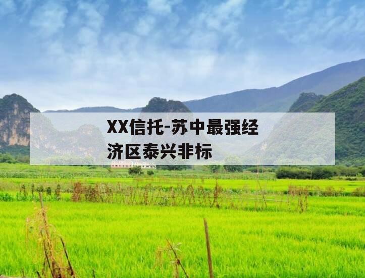 XX信托-苏中最强经济区泰兴非标