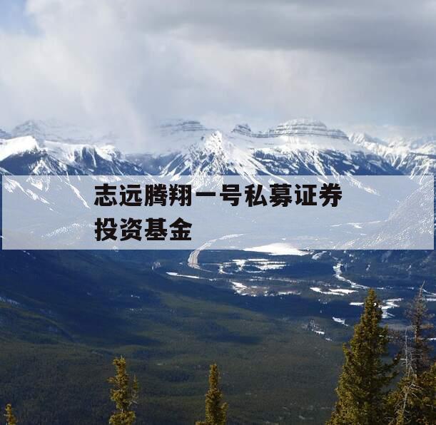志远腾翔一号私募证券投资基金 志远腾翔一号私募证券投资基金
