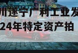 四川遂宁广利工业发展2024年特定资产拍卖