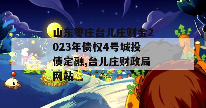 山东枣庄台儿庄财金2023年债权4号城投债定融,台儿庄财政局网站