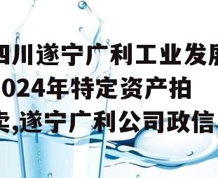 四川遂宁广利工业发展2024年特定资产拍卖,遂宁广利公司政信