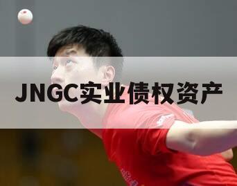 JNGC实业债权资产