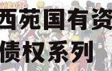 洛阳西苑国有资本2023年债权系列