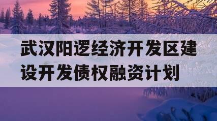 武汉阳逻经济开发区建设开发债权融资计划