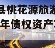 酉阳县桃花源旅游投资2024年债权资产项目