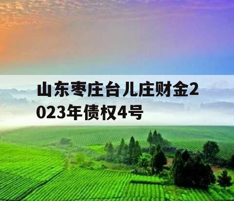山东枣庄台儿庄财金2023年债权4号