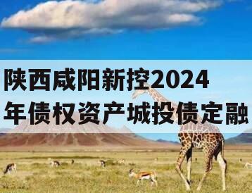 陕西咸阳新控2024年债权资产城投债定融