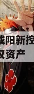 陕西咸阳新控2024年债权资产