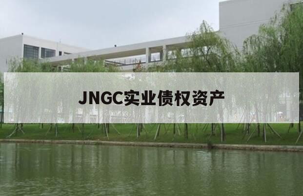 JNGC实业债权资产