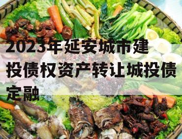 2023年延安城市建投债权资产转让城投债定融
