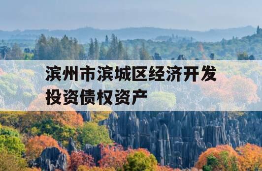 滨州市滨城区经济开发投资债权资产