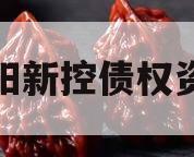 咸阳新控债权资产 咸阳新控债权资产