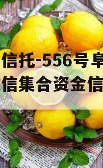 央企信托-556号阜宁政信集合资金信托计划 央企信托-556号阜宁政信集合资金信托计划