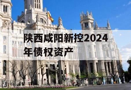 陕西咸阳新控2024年债权资产