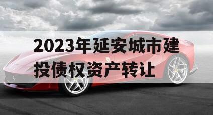 2023年延安城市建投债权资产转让