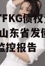 山东TFKG债权资产项目,山东省发债企业风险监控报告