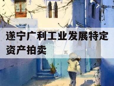 遂宁广利工业发展特定资产拍卖